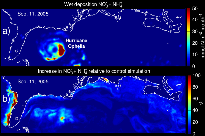 Snapshot of wet atmospheric nitrogen deposition over the western North Atlantic during the summer