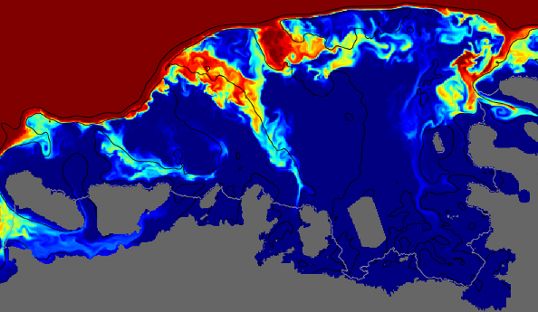 Bottom concentration of tracer representing CDW